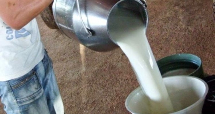 Protesto de produtores de leite para reivindicar preço do produto acontece neste sábado, em Morada Nova