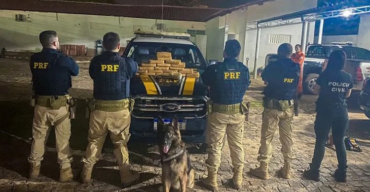 7d940495-c419-43bf-b7c7-d3080f761178