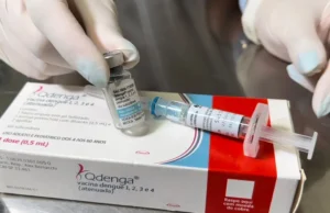 Dengue: fabricante firma parceria para ampliar produção da vacina