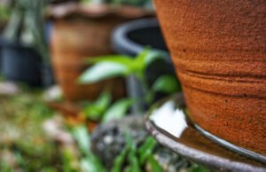 Dengue: condomínios realizam estratégias de combate para eliminar focos e reduzir proliferação do mosquito