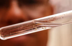 Casos de dengue este ano superam os de 2023 em cinco estados e no DF