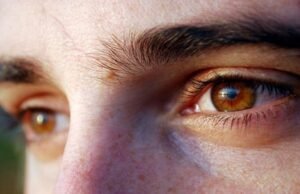 Glaucoma: monitoramento evitou cegueira em 300 mil brasileiros