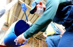 Aumento de número de casos de Dengue no Ceará em abril