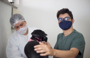 Pet Ceará Móvel passa a ofertar vacinação antirrábica gratuita