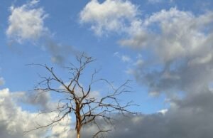 Ceará segue com predomínio de tempo firme em todas as macrorregiões