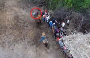 Dois homens são atropelados por cavalo durante vaquejada em Ipaporanga; acidente foi filmado por drone