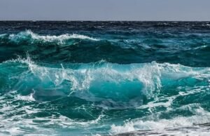 Relatório sobre oceano aponta aquecimento, acidificação e queda de O₂