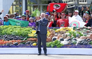 Agricultura familiar terá R$ 76 bilhões para produção de alimentos