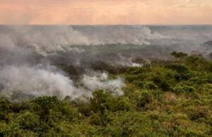 Pantanal poderá ter crise hídrica histórica em 2024, aponta estudo