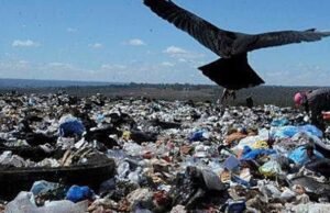 Justiça acata pedido do MP do Ceará e determina que Prefeitura de Pacatuba elabore Plano de Gestão de Resíduos Sólidos