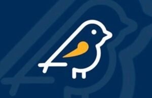 Aplicativo Pardal: ferramenta para denúncias de irregularidades eleitorais