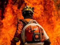 MPF organiza ação coordenada para enfrentamento dos incêndios nos biomas brasileiros