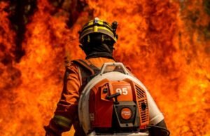 MPF organiza ação coordenada para enfrentamento dos incêndios nos biomas brasileiros