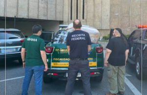 Receita Federal no Ceará apreende 230 kg de barbatanas de tubarão que seriam exportadas ilegalmente para a China