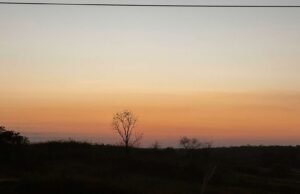 Funceme emite alerta de baixa umidade para o centro-sul do Ceará neste fim de semana