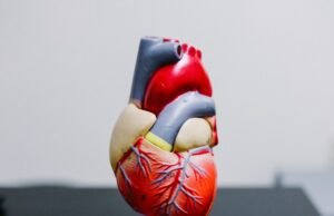 Dia Mundial do Coração: prevenção é o caminho para uma vida saudável