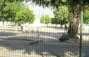 Tiroteio em estacionamento de centro universitário deixa uma pessoa ferida em Sobral