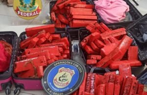 PF prende passageiras em Fortaleza transportando 132 tabletes de maconha