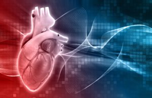 Dia Nacional de Prevenção das Arritmias Cardíacas e Morte Súbita alerta para importância da saúde do coração