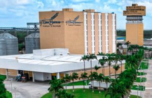 M. Dias Branco registra queda de 51,9% no lucro e reduz 850 postos de trabalho em busca de eficiência