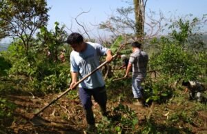 Indígenas cearenses receberão R$ 1,2 milhão para suporte a projetos de agricultura familiar