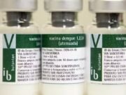 Anvisa oficializa registro da vacina contra dengue do Instituto Butantan; imunização deve começar em 2026 pelo SUS