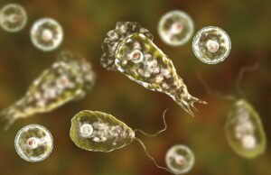 Saúde do Ceará investiga morte de menina de 1 ano por “ameba comedora de cérebros”