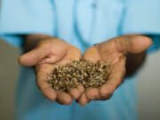 29º Encontro dos Profetas da Chuva acontece neste sábado, 11, em Quixadá