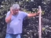 Ex-vereador de Tianguá morre após ser atacado por enxame de abelhas