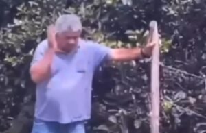 Ex-vereador de Tianguá morre após ser atacado por enxame de abelhas