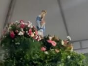 Imagem de Nossa Senhora cai de carro durante procissão em Alagoas, mas é segurada por fiel