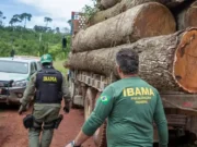 Ibama abre inscrições para concurso com 460 vagas; salário é de até R$ 9,9 mil