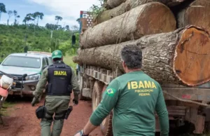 Ibama abre inscrições para concurso com 460 vagas; salário é de até R$ 9,9 mil