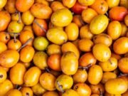 Homem morre após engolir mais de 100 caroços de seriguela