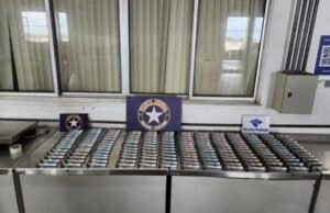 Receita Federal apreende 176 canetas de medicamento emagrecedor no Ceará; carga é avaliada em R$ 600 mil