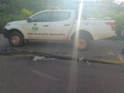 VÍDEO: sucuri grávida é atropelada e expele mais de 100 filhotes da barriga