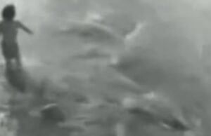 Criança de 5 anos é “engolida” por bueiro durante forte chuva em Fortaleza