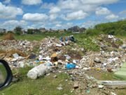 06 de fevereiro: dia do Agente de Defesa do Meio Ambiente