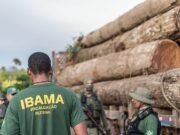 Prazo para pedir isenção do concurso do Ibama termina nesta quarta, 5