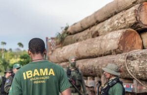 Prazo para pedir isenção do concurso do Ibama termina nesta quarta, 5