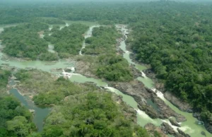 Pesquisa com bactérias na Amazônia pode desenvolver novos medicamentos