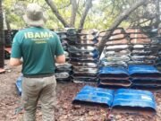 Operação no Ceará realiza maior apreensão de armadilhas de lagostas da história do Brasil