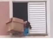 Mulher salva cachorro de queda do último andar com caixa de papelão