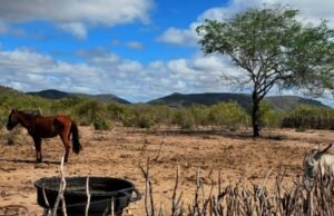 Acopiara obtém reconhecimento federal de situação de emergência devido à estiagem