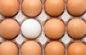 Alta na demanda e nos custos eleva preço dos ovos