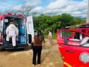 Idoso é atacado por abelhas em Canindé