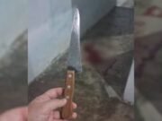 Mulher é presa após matar marido a facadas dentro de casa em Pedra Branca