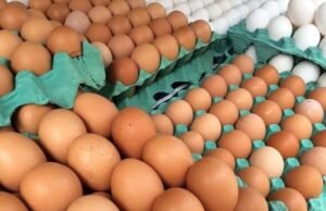 Inflação fecha março em 0,56% pressionada pelo preço dos alimentos