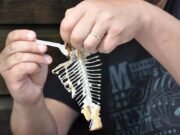 Homem de Boa Viagem morre após engasgar com peixe e engolir pedra para retirar espinha