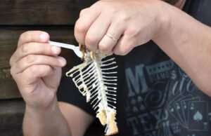 Homem de Boa Viagem morre após engasgar com peixe e engolir pedra para retirar espinha